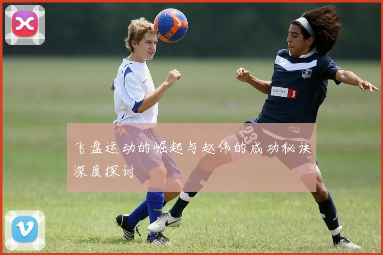 飞盘运动的崛起与赵伟的成功秘诀深度探讨