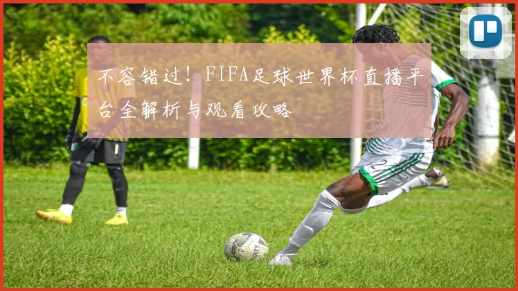 不容错过!FIFA足球世界杯直播平台全解析与观看攻略