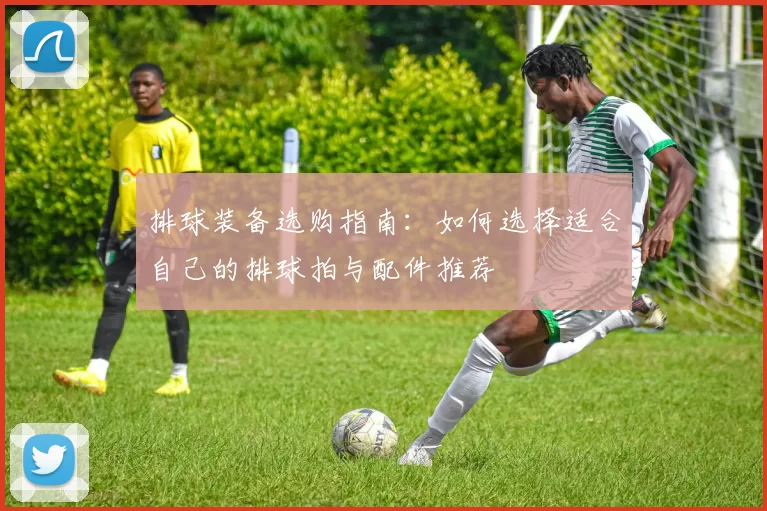 排球装备选购指南:如何选择适合自己的排球拍与配件推荐