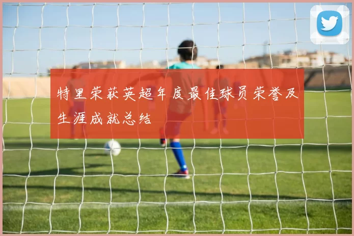 特里荣获英超年度最佳球员荣誉及生涯成就总结