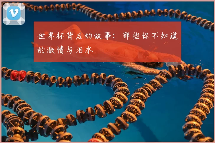 世界杯背后的故事:那些你不知道的激情与泪水