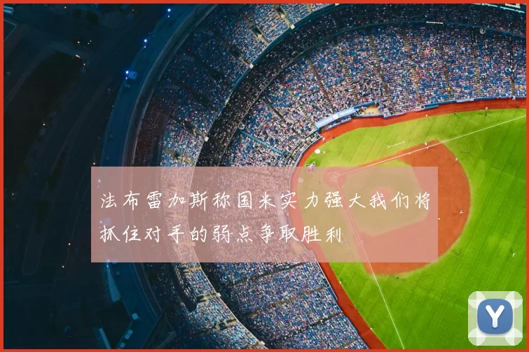 法布雷加斯称国米实力强大我们将抓住对手的弱点争取胜利