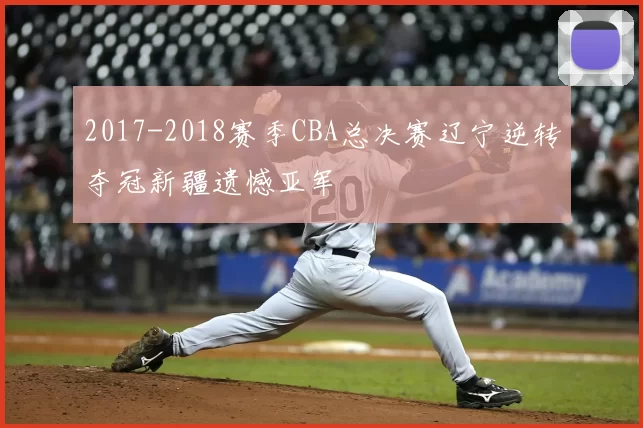 2017-2018赛季CBA总决赛辽宁逆转夺冠新疆遗憾亚军