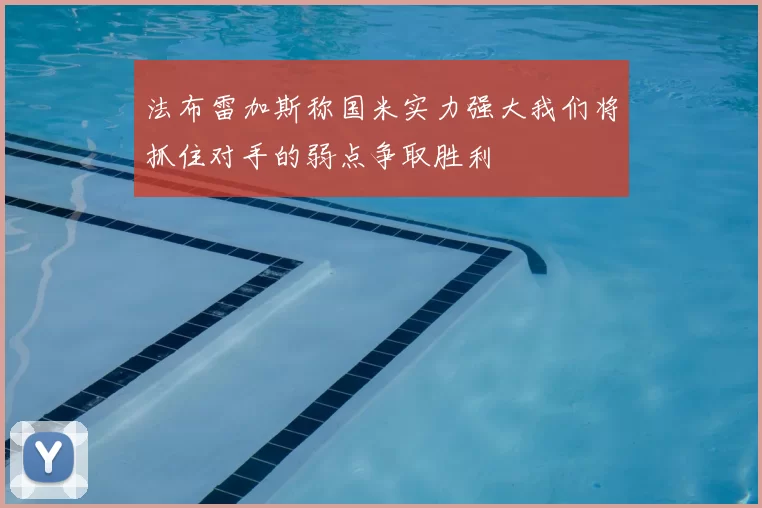 法布雷加斯称国米实力强大我们将抓住对手的弱点争取胜利