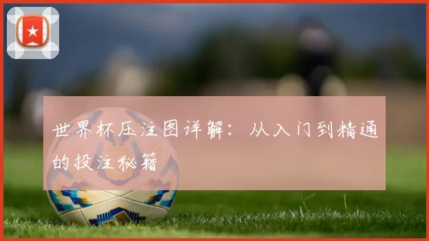 世界杯压注图详解:从入门到精通的投注秘籍