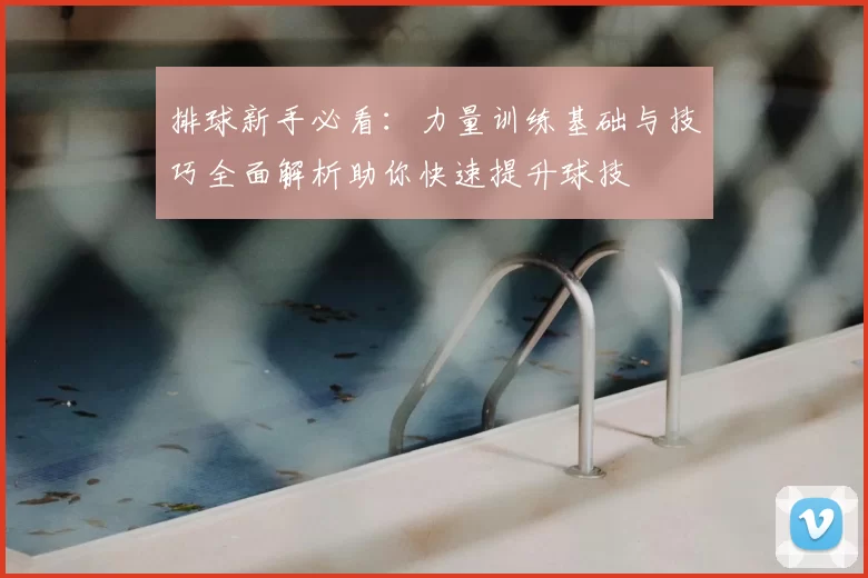 排球新手必看：力量训练基础与技巧全面解析助你快速提升球技
