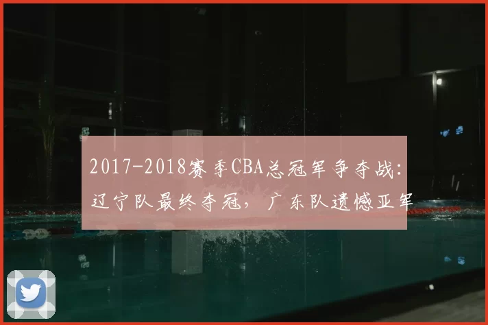 2017-2018赛季CBA总冠军争夺战：辽宁队最终夺冠，广东队遗憾亚军
