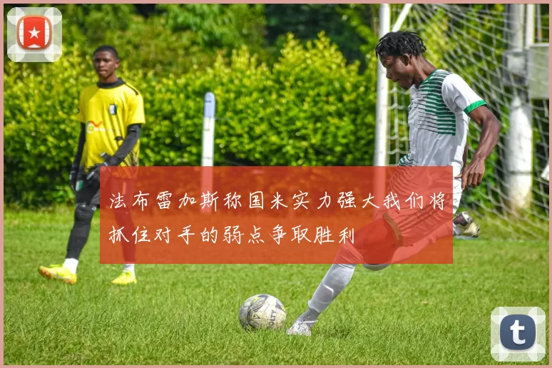 法布雷加斯称国米实力强大我们将抓住对手的弱点争取胜利