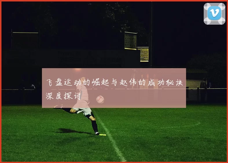 飞盘运动的崛起与赵伟的成功秘诀深度探讨