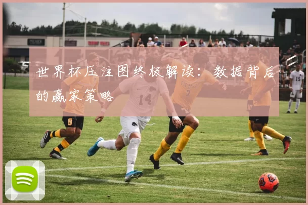 世界杯压注图终极解读:数据背后的赢家策略