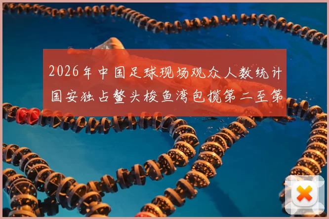 2026年中国足球现场观众人数统计国安独占鳌头梭鱼湾包揽第二至第七位