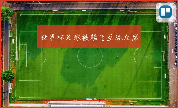 世界杯足球被踢飞至观众席