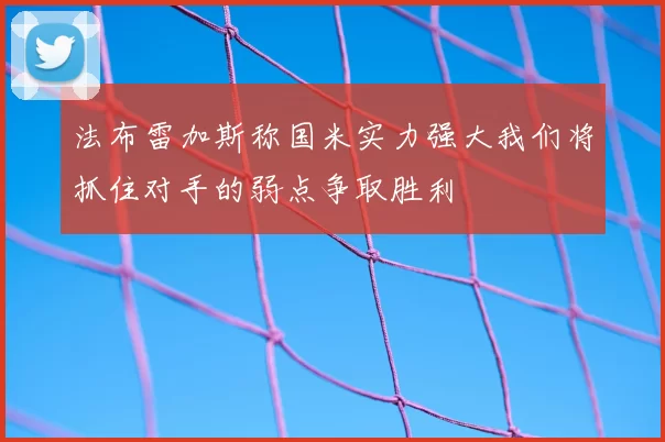 法布雷加斯称国米实力强大我们将抓住对手的弱点争取胜利