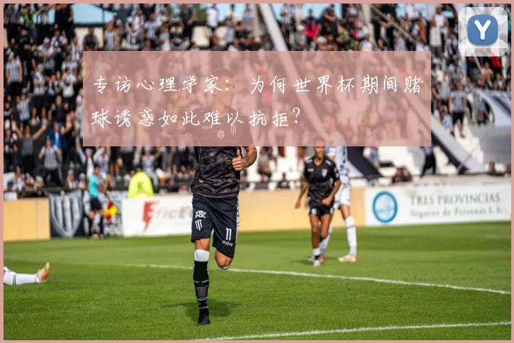 专访心理学家:为何世界杯期间赌球诱惑如此难以抗拒?