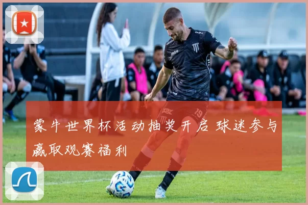蒙牛世界杯活动抽奖开启 球迷参与赢取观赛福利