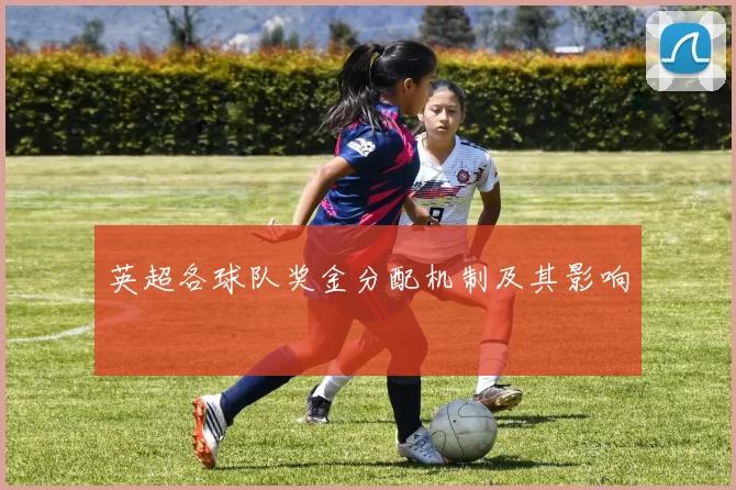 英超各球队奖金分配机制及其影响