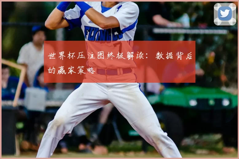 世界杯压注图终极解读:数据背后的赢家策略