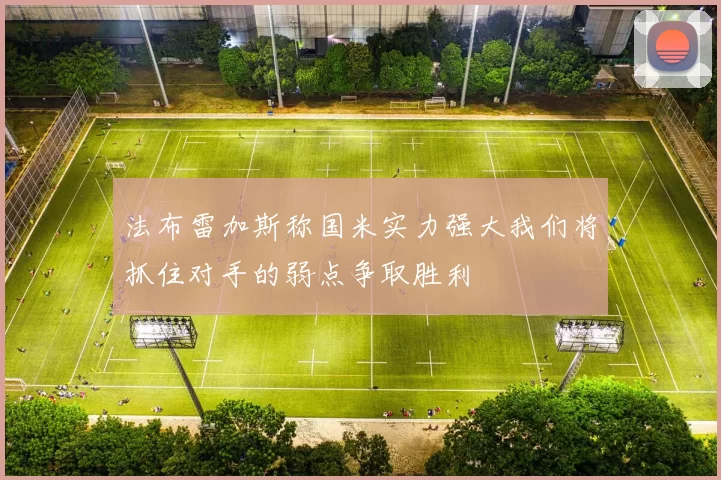 法布雷加斯称国米实力强大我们将抓住对手的弱点争取胜利