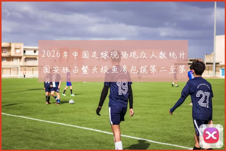2026年中国足球现场观众人数统计国安独占鳌头梭鱼湾包揽第二至第七位
