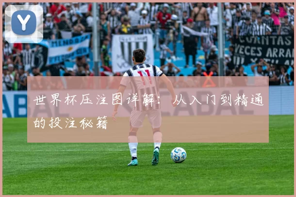 世界杯压注图详解：从入门到精通的投注秘籍