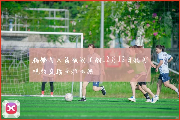 鹈鹕与火箭激战正酣12月12日精彩视频直播全程回顾