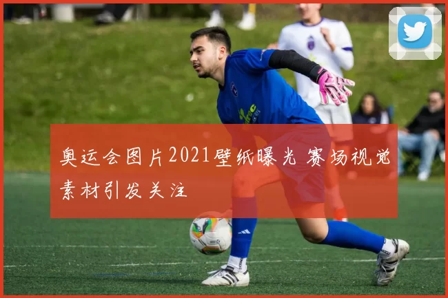 奥运会图片2021壁纸曝光 赛场视觉素材引发关注