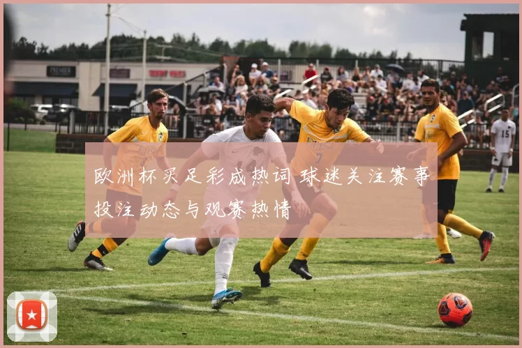 欧洲杯买足彩成热词 球迷关注赛事投注动态与观赛热情