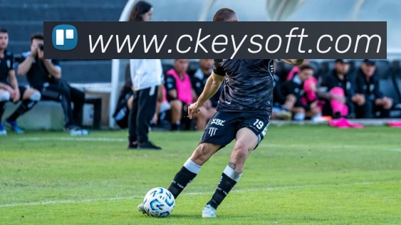 kaiyun平台生态图